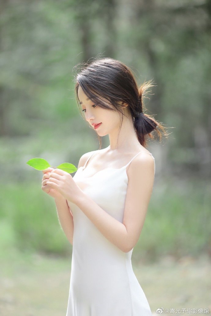 卧虎藏龙 封面